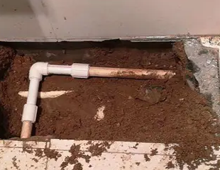 漾濞测漏水哪家好