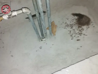 漾濞卫生间测漏水价格明细