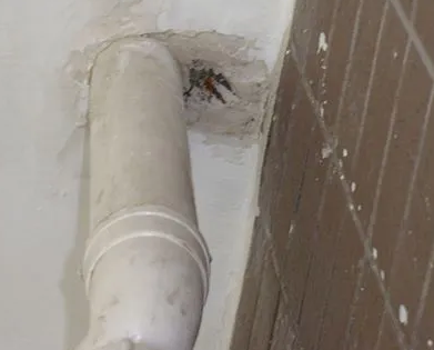 漾濞漏水检测哪家好